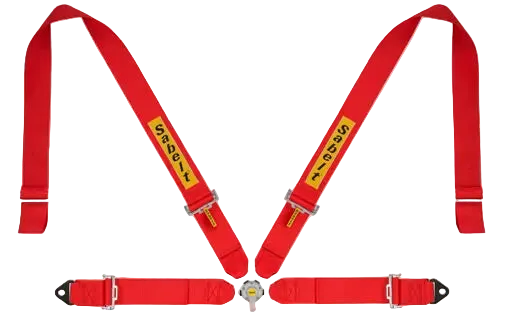 Sabelt Sim Seatbelts Kit